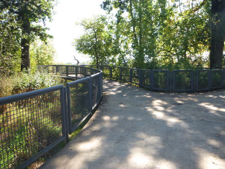 Concrete walkway on the Wetland Observation Deck - see-through metal railing - shade trees